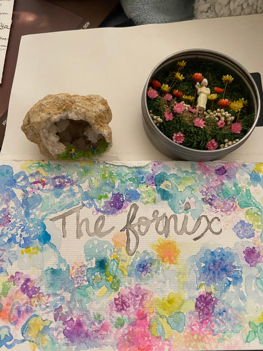 The Fornix aka. Dream Box